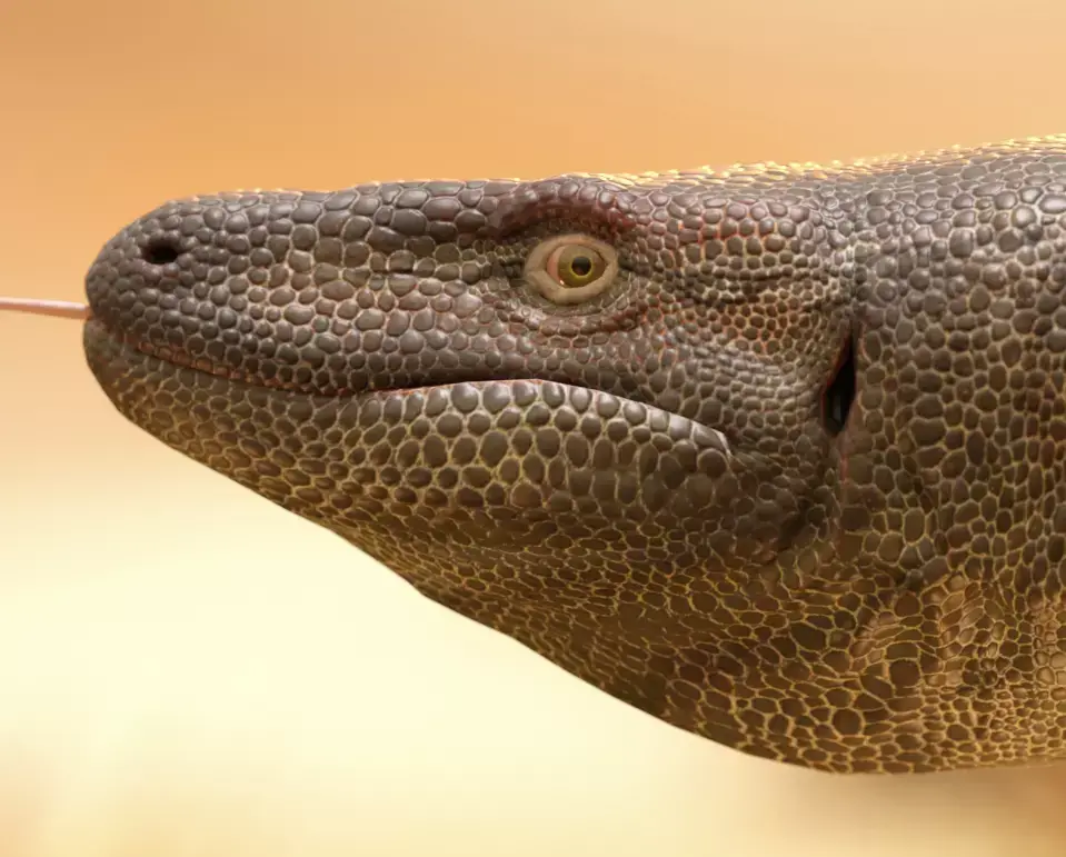 Megalania dinosaur Low-poly 3D model