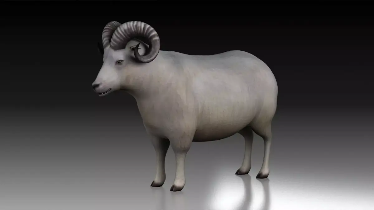 sheep ram ewe lamp wool fur farm livestock domesticated  3D model
