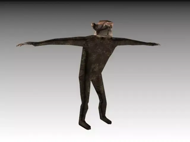 CHIMPANZE monkey 3D model