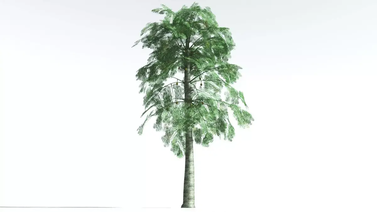 EVERYPlant Alethopteris Seed Fern LowPoly 1 --12 Models-- Low-poly 3D model