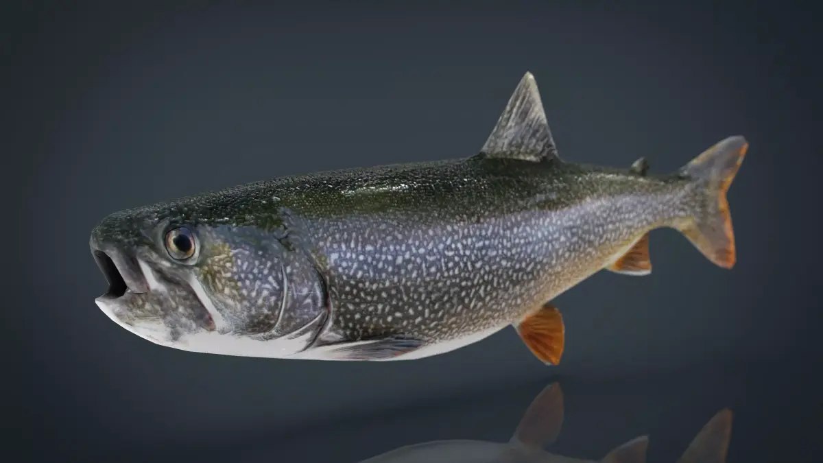 TROUT brook Low-poly 3D model