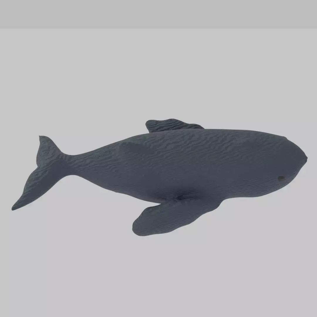 Whale - Scan Of A Clay Whale  Low-poly 3D model