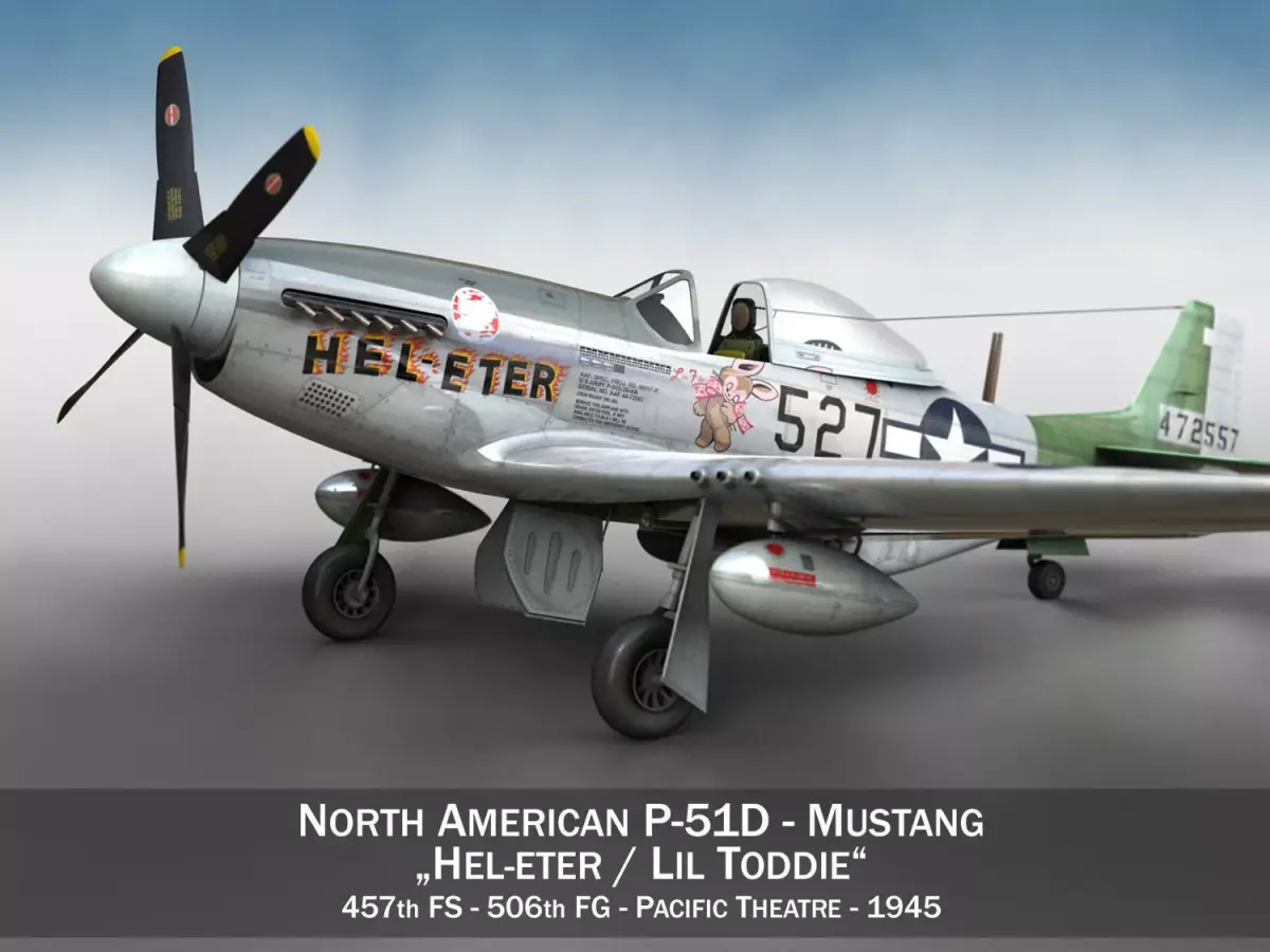 North American P-51D - Heleter  3D model