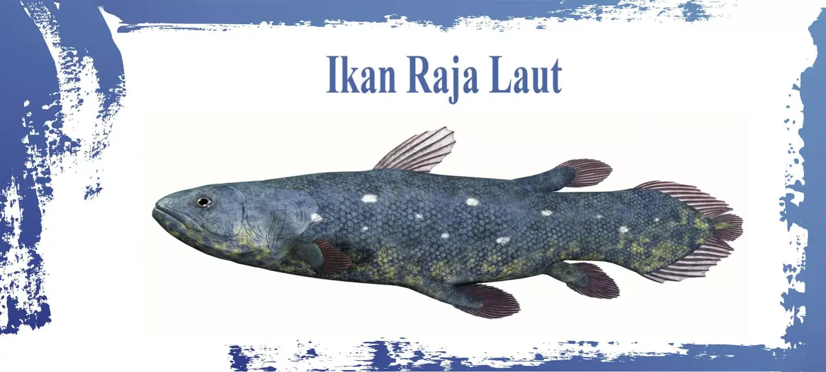 Coelacanth Fish Low-poly 3D model