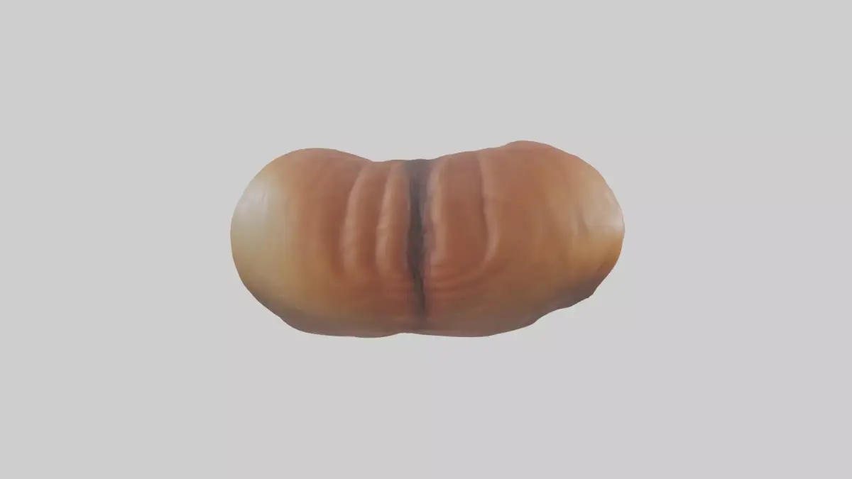 Deer Stomach Low-poly 3D model