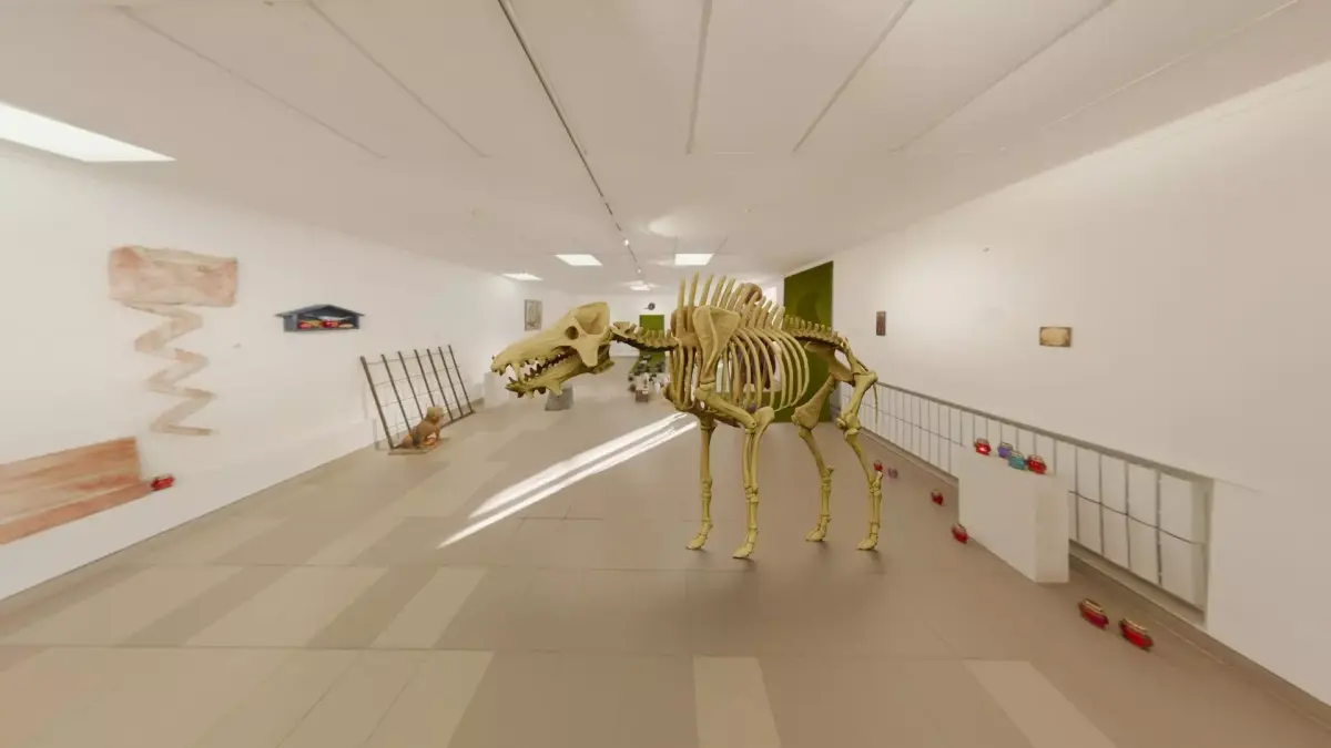 Realistic Mammals Fossil - Entelodont Low-poly 3D model