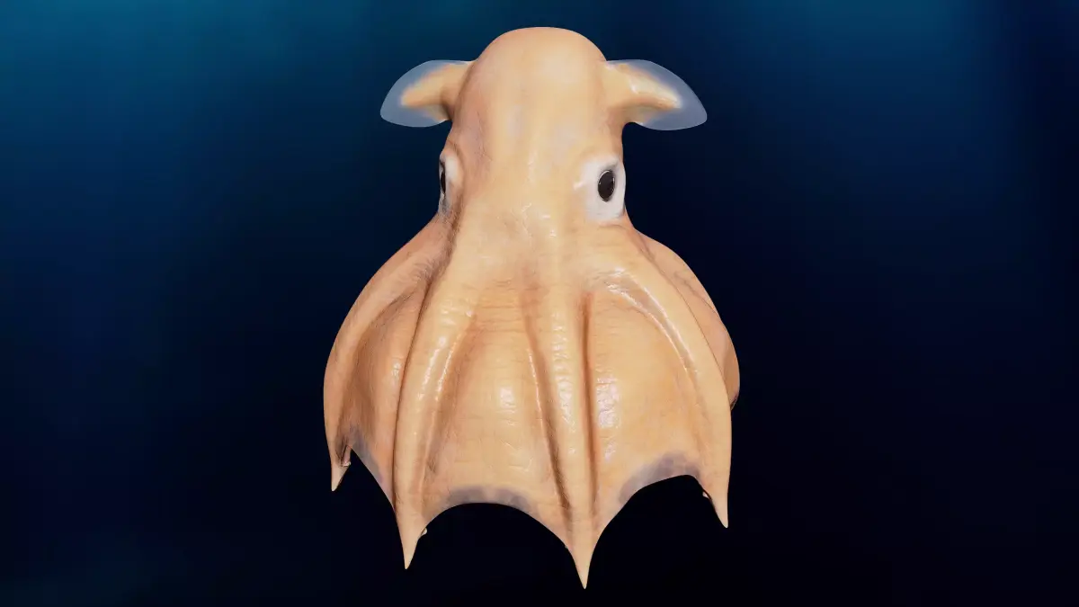 Grimpoteuthis - Dumbo Octopus - Ver 2024  Low-poly 3D model