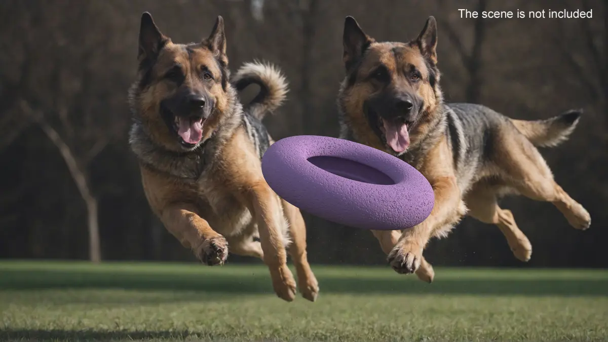 Outdoor Dog Toy Puller Maxi Used 3D model