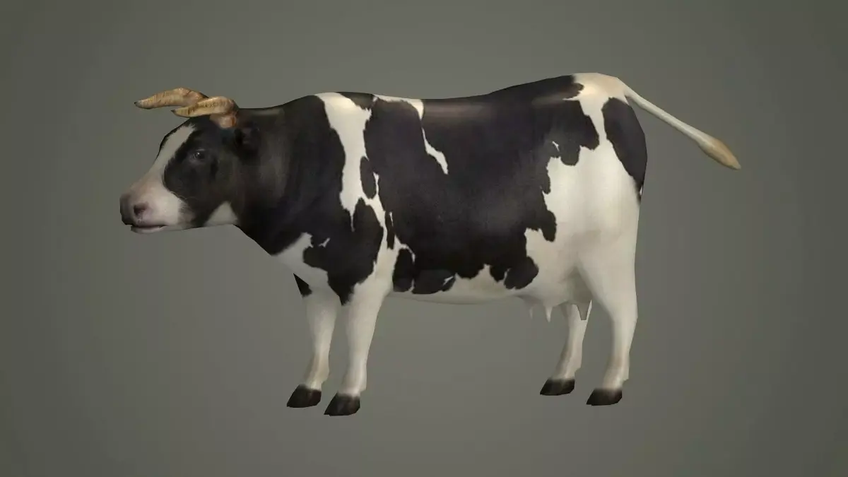 bull animal domestic game lowpoly cow animals 3D model