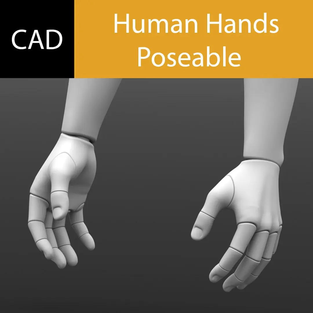 Solidworks Hands Poseable 3D model