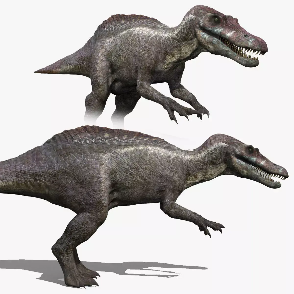 Suchomimus Tenerensis - 8K animated 3D model