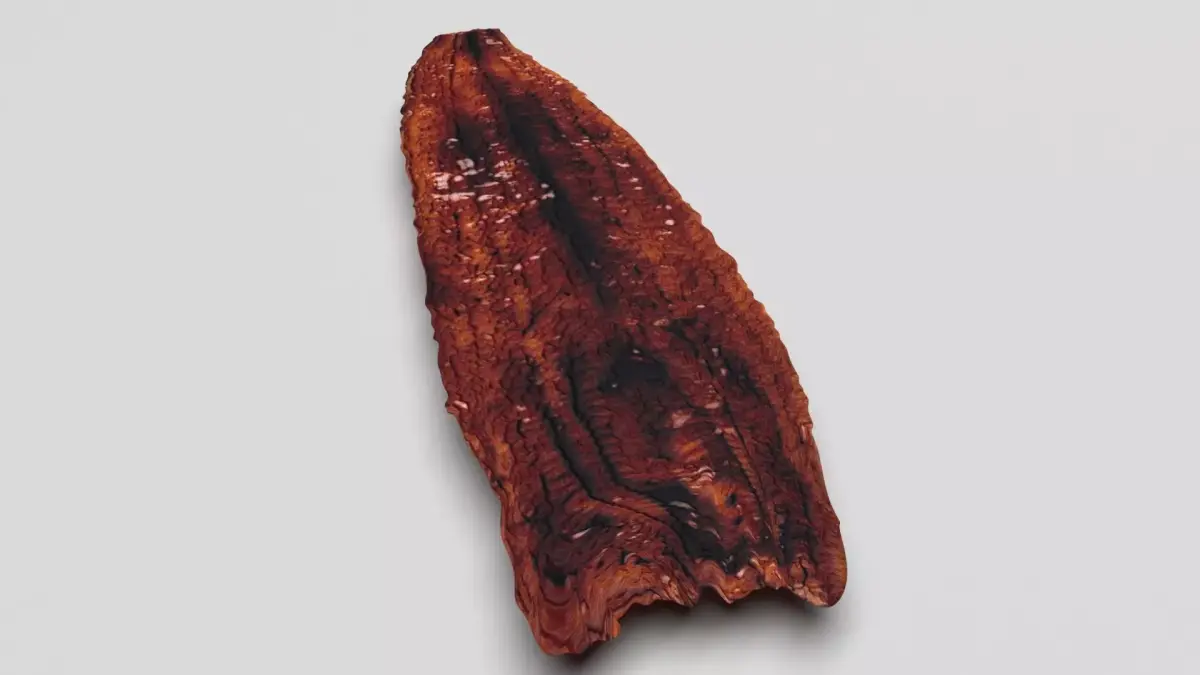 Grilled Eel 3D model