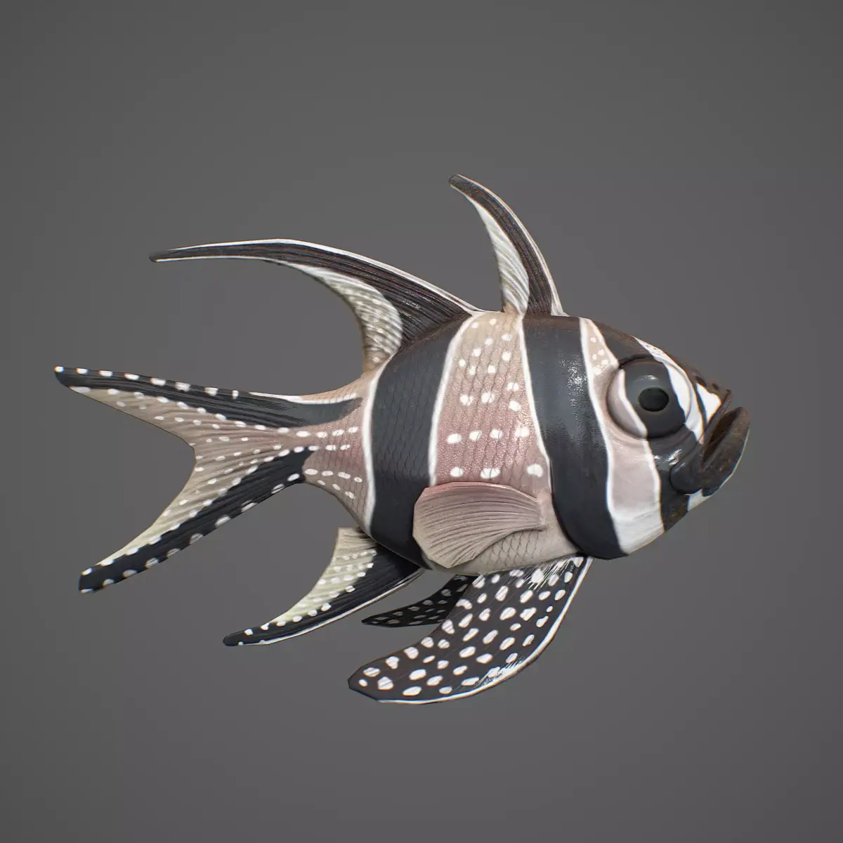  Pterapogon kauderni Low-poly 3D model