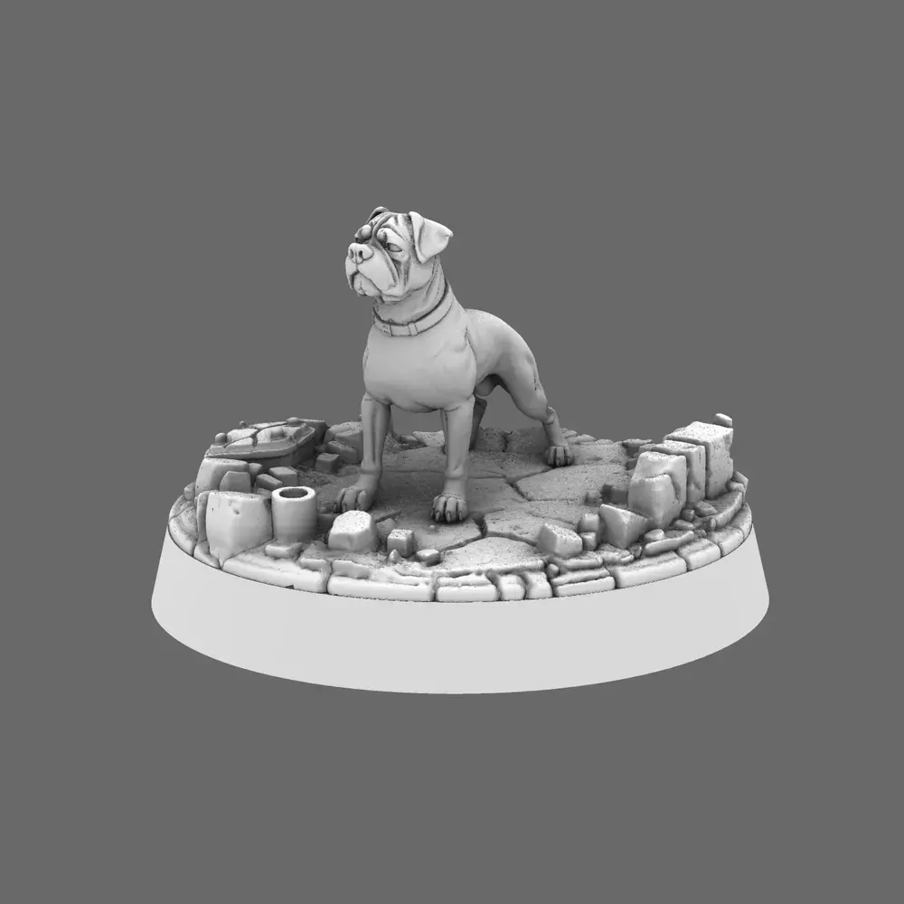 CT Pound Patrol Canine Boxer Specialist Ranger 3D print model