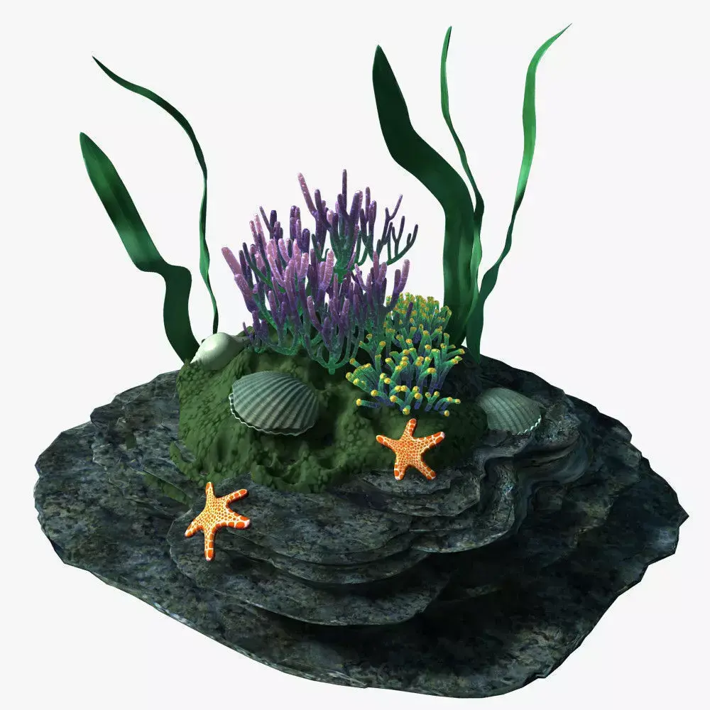 Coral 07-     3D model