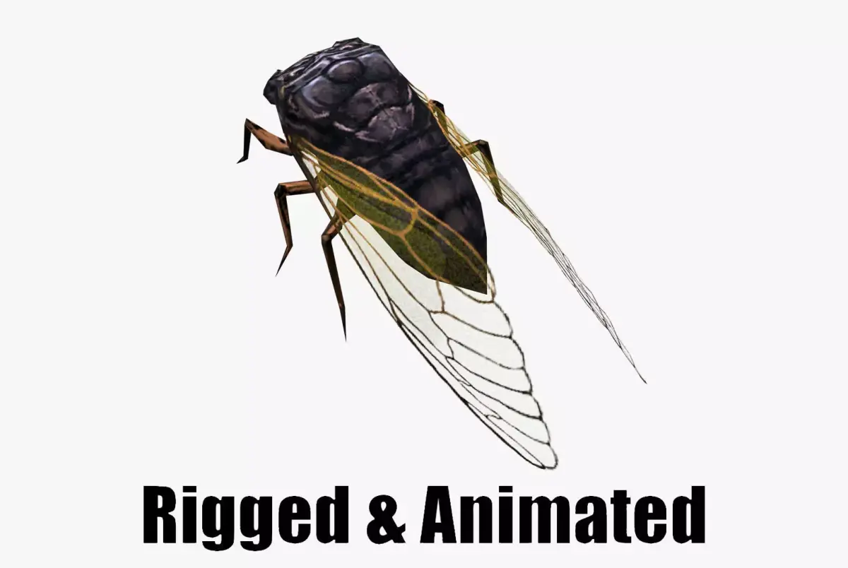 low poly animated cicada Low-poly 3D model