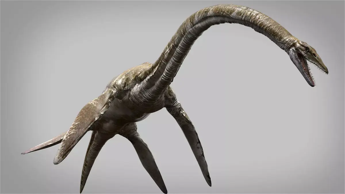Elasmosaurus Rigged Low-poly 3D model