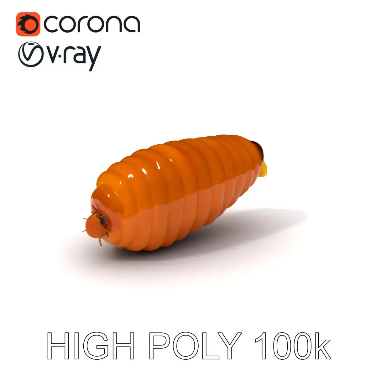 Realistic Insect Larva Model Pack for Animation and Games Low-poly 3D model