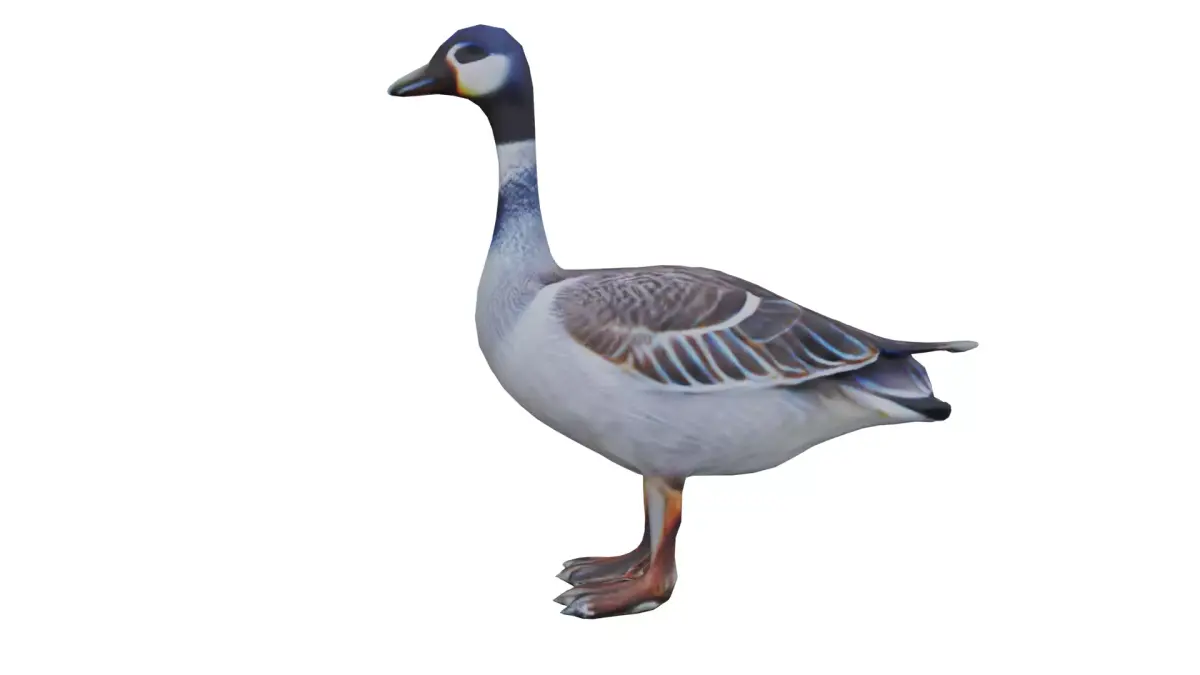 Realistic Goose LOW POLY Low-poly 3D model