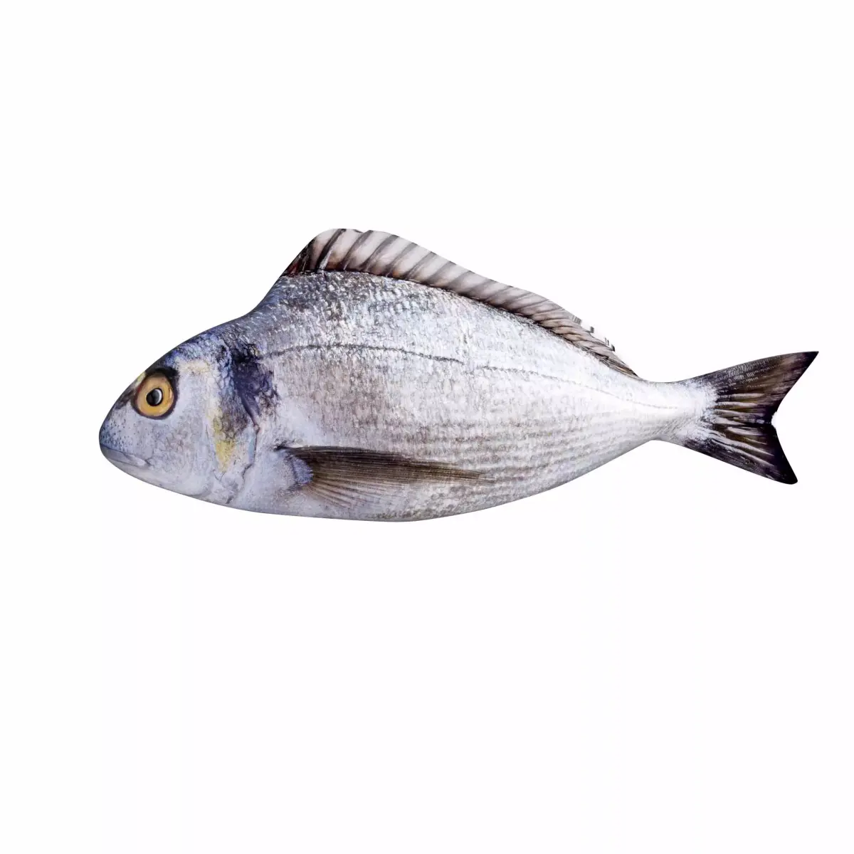 Bream Fish Low-poly 3D model