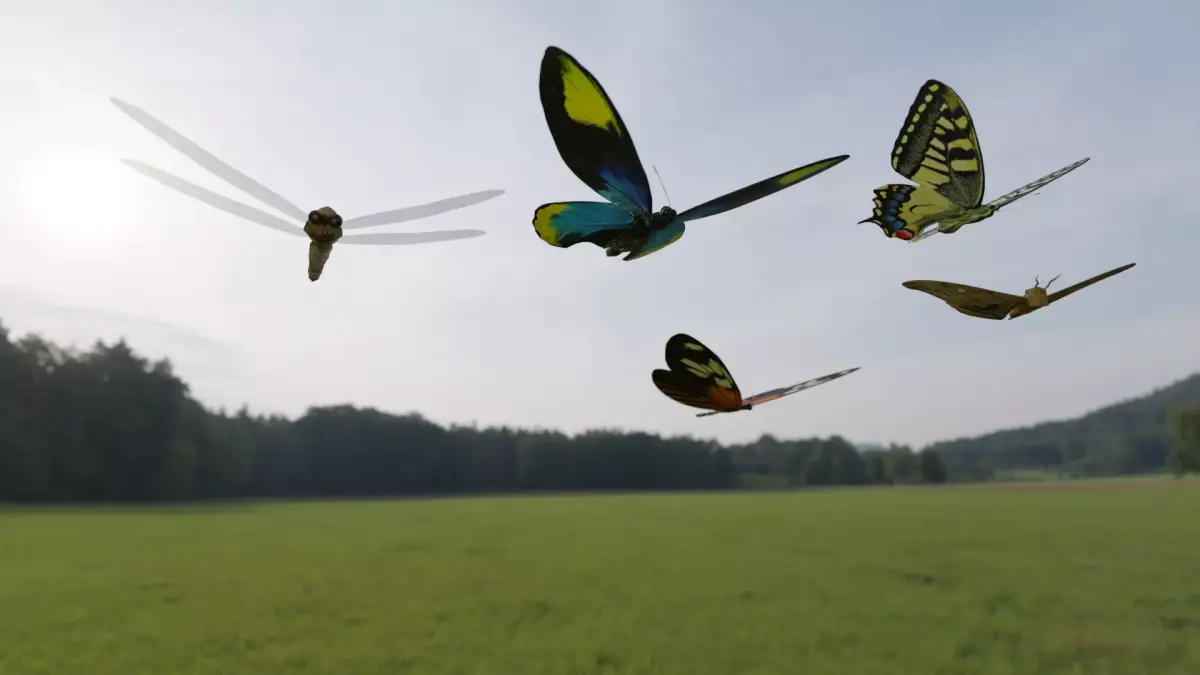 Blender 3D Insects Model 3D model