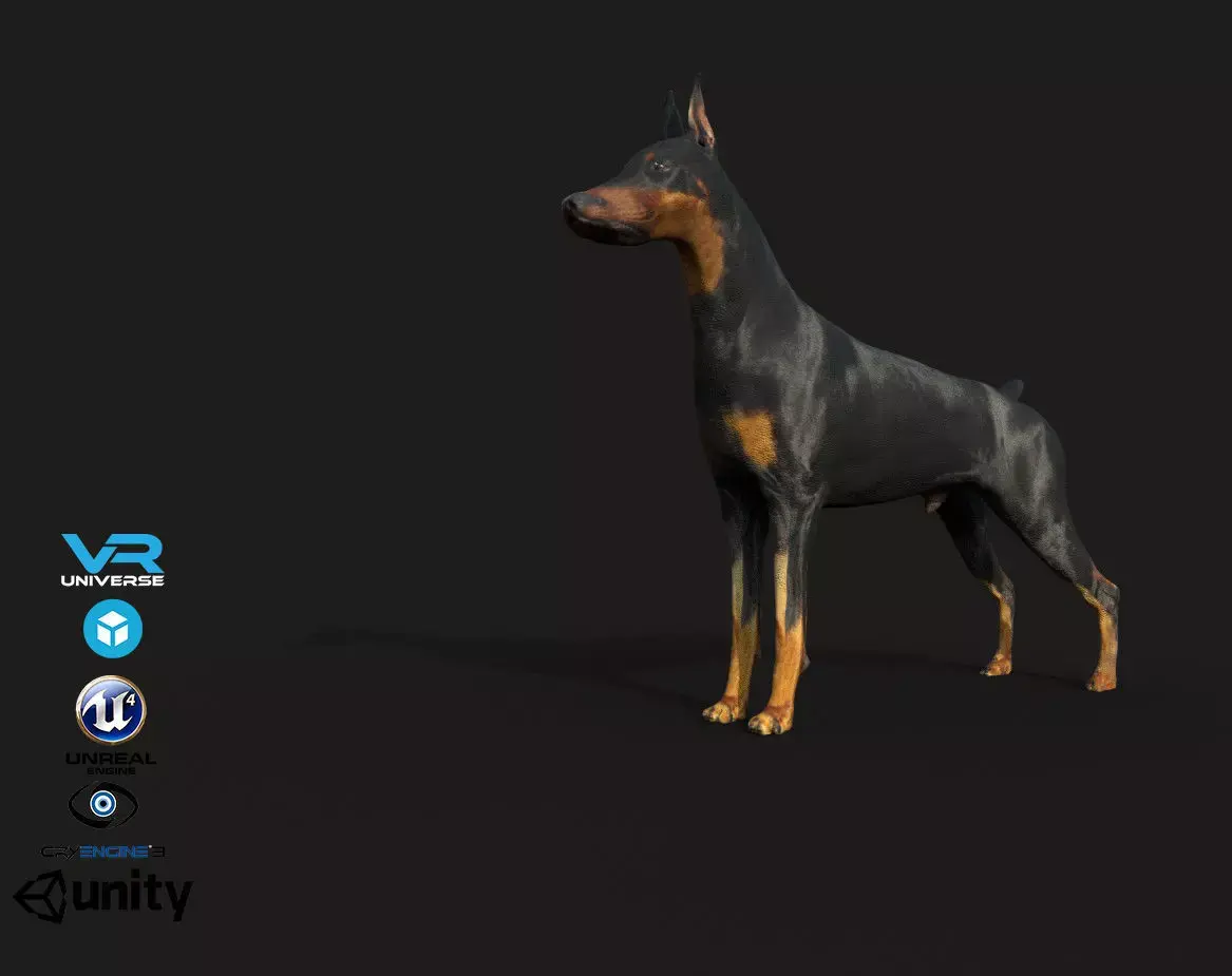 Dobermann Dog Low-poly 3D model