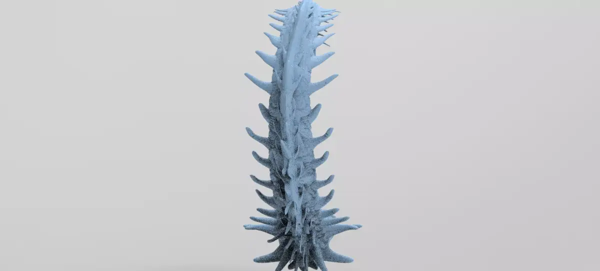 Alien Dragon Tail 1  3D model