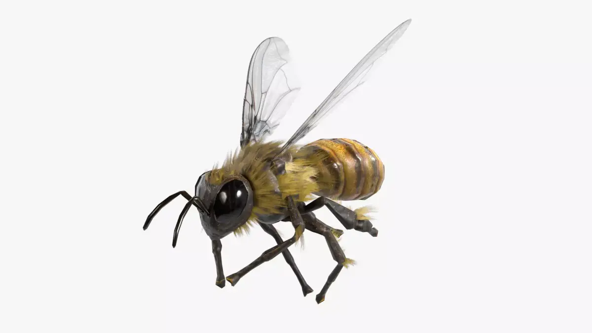 Bee lowpoly Low-poly 3D model