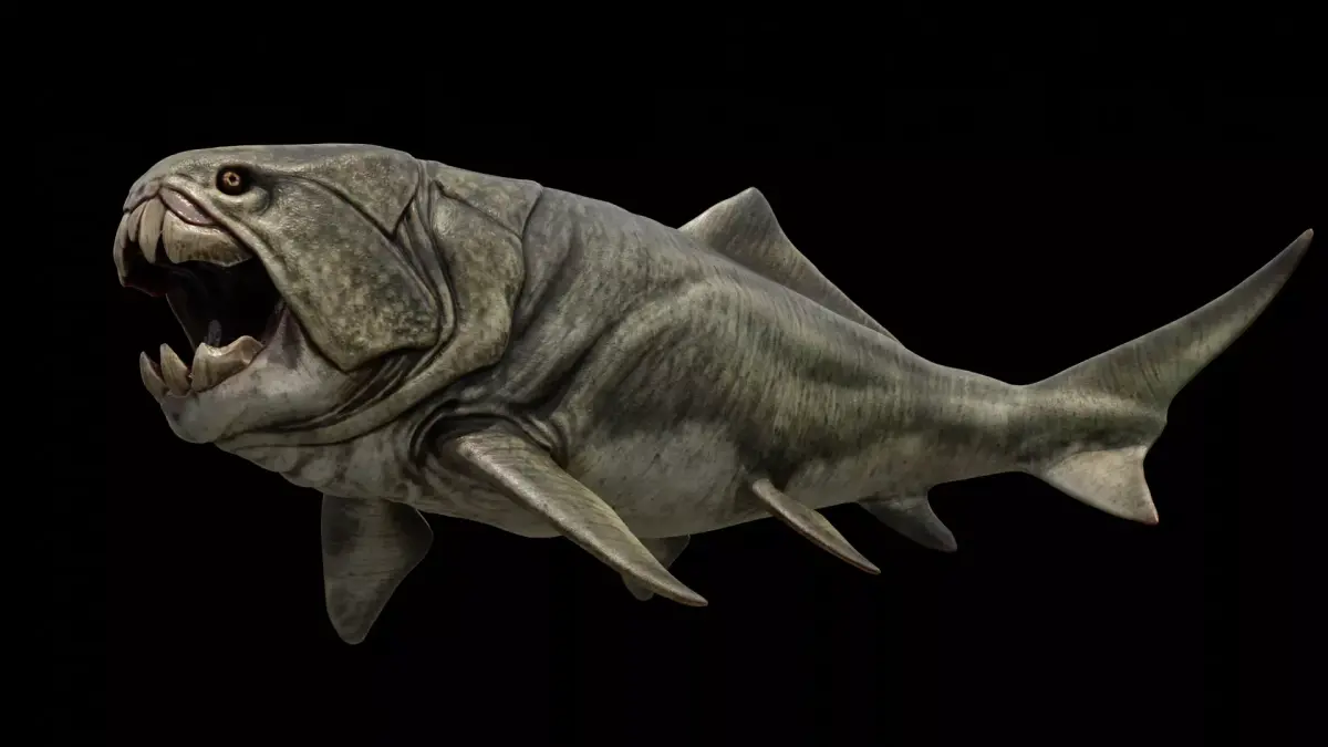 Dunkleosteus Prehistoric Fish Low-poly 3D model