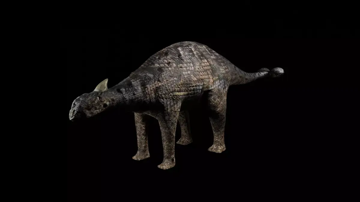 Ankylosaurs dinosaur Low-poly 3D model