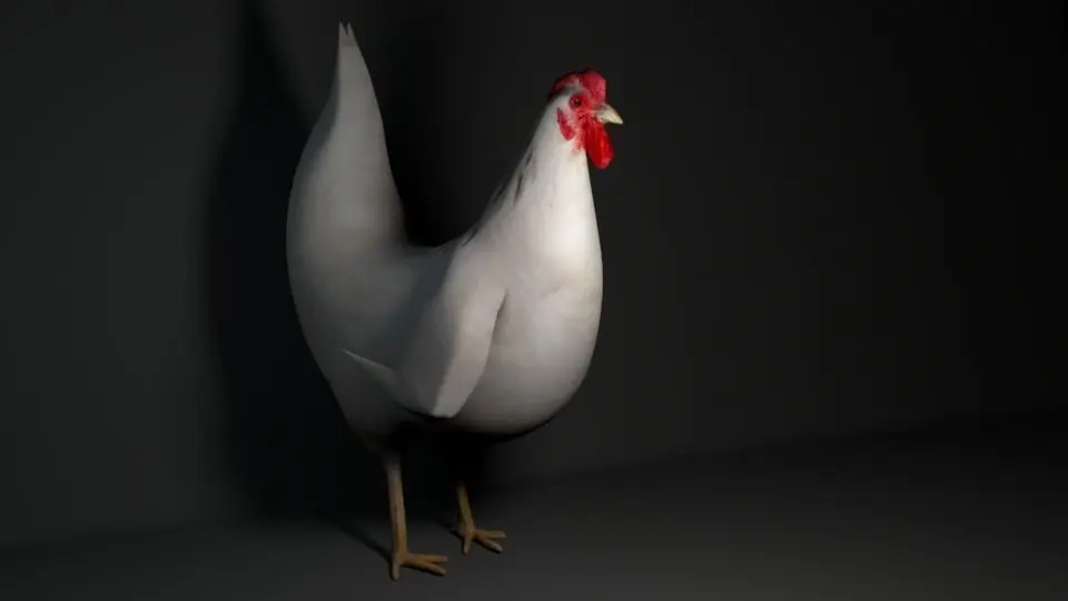 Hen Pigged and Animated Lowpoly Low-poly 3D model