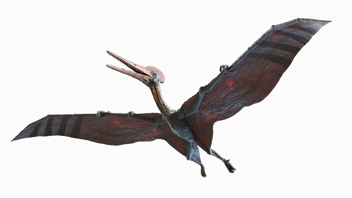 Pterodactyl Animated 3D model