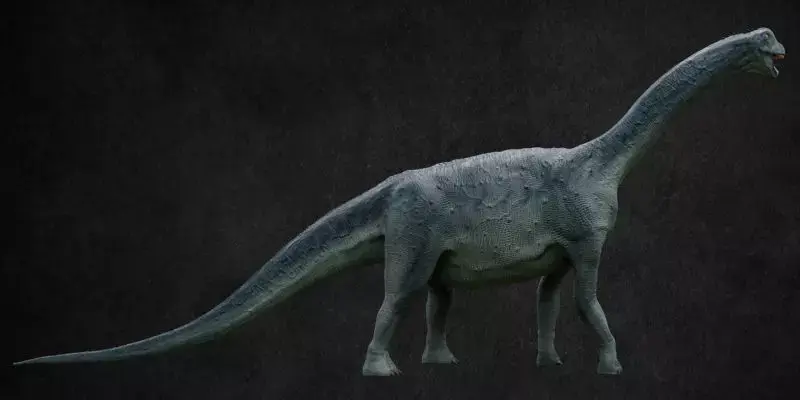 Camarasaurus dinosaur Low-poly 3D model