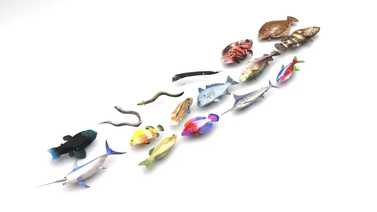 Fishes Set 3D model get