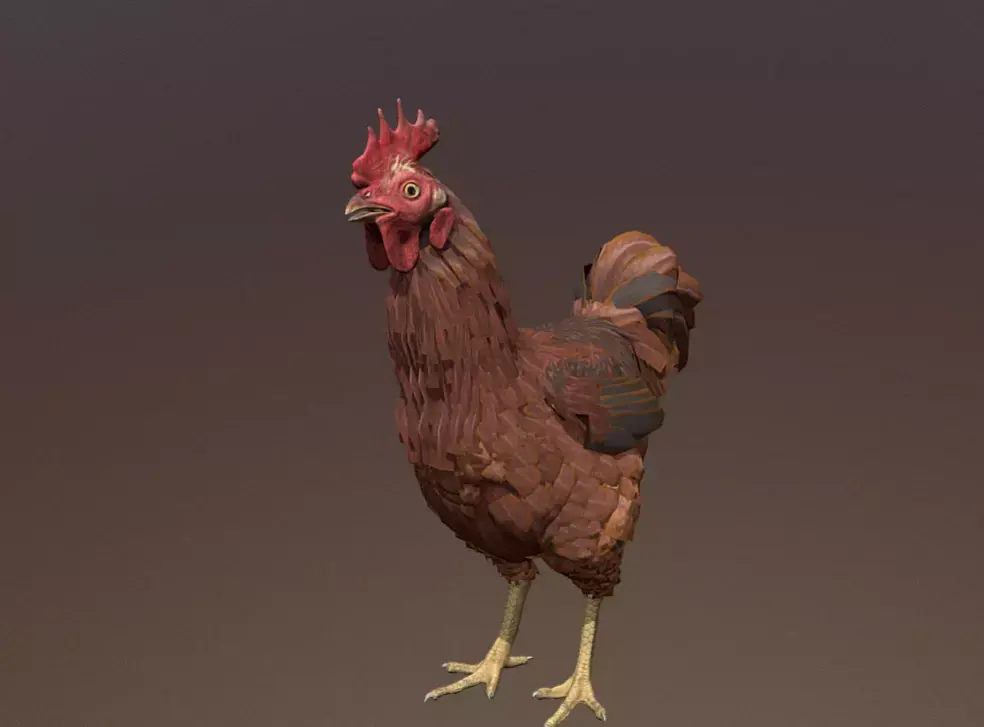 ROOSTER  CHICKEN IDLE OBSERVING  IDLING 3D model