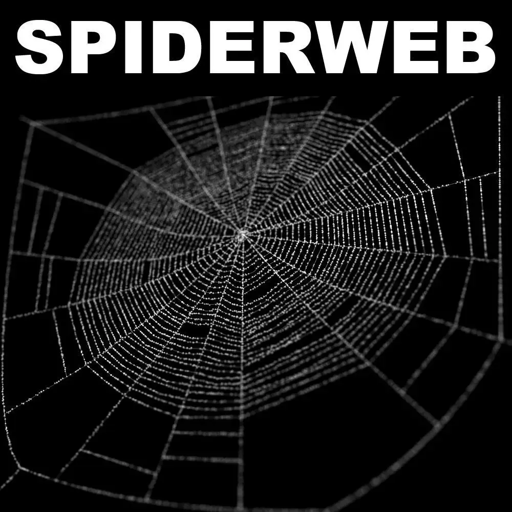Spiderweb 1 3D model