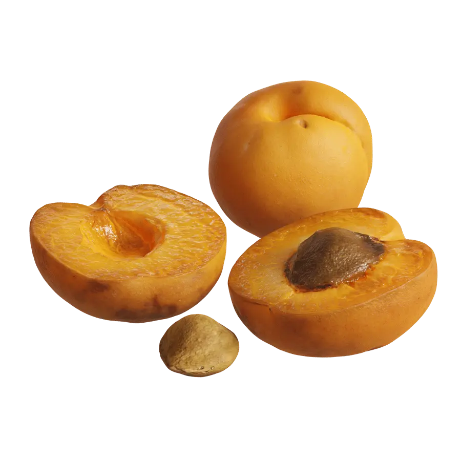  Apricot Models  purchase
