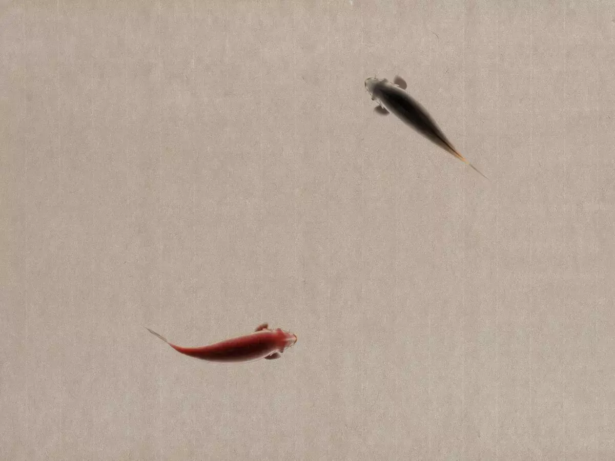 Ink Fish ink painting animation 3D model