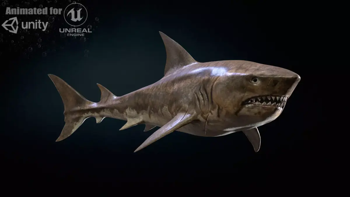 AlienShark 5 Low-poly 3D model