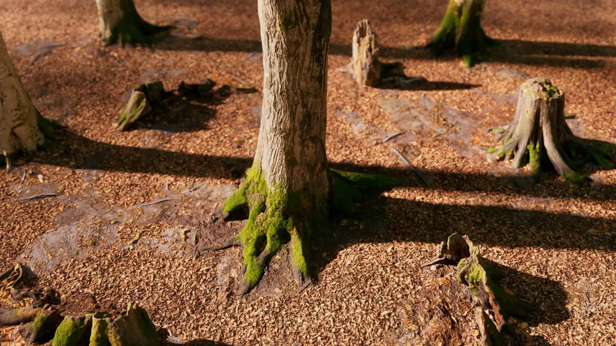 European Beech 04 3D Scanned Animated 3D model