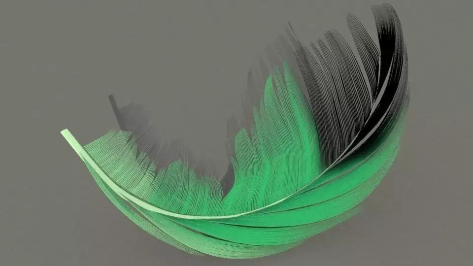 feather 3D model purchase