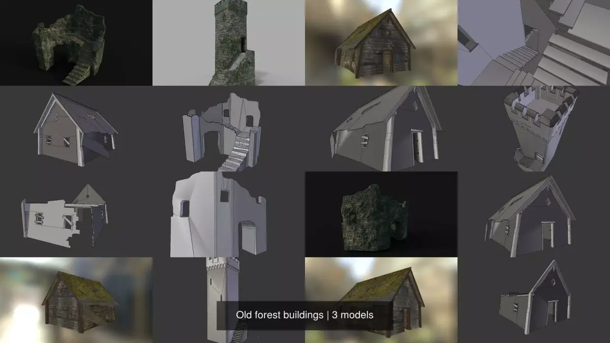 Old forest buildings 3D Model Pack purchase