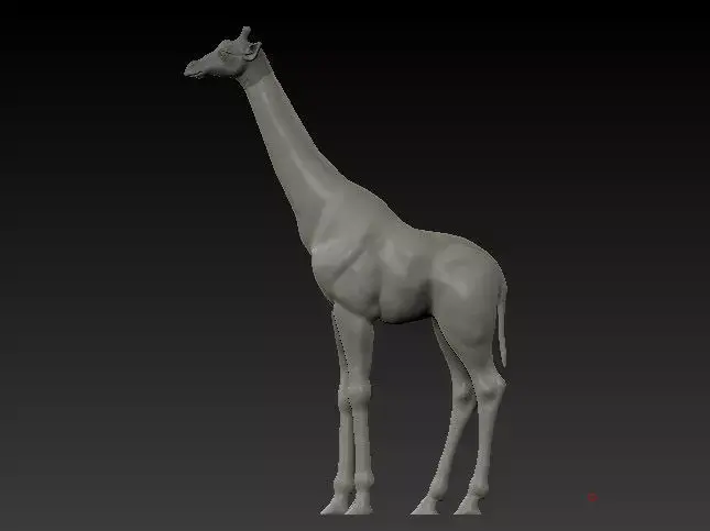 Jiraffe giraffe 3D model