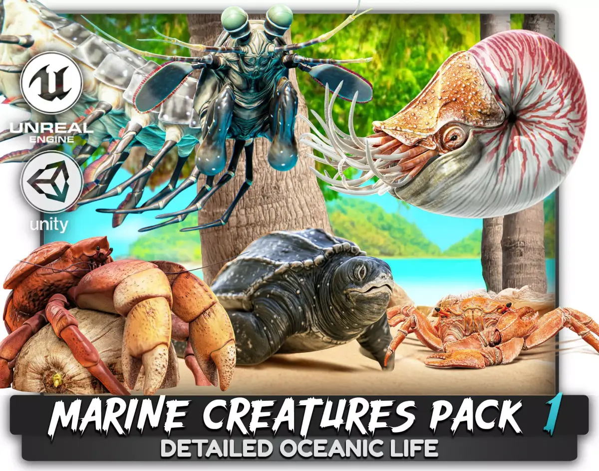 Crab - Coconut Crab - Mantis Shrimp - Sea Turtle - Nautilus - 70 Low-poly 3D model
