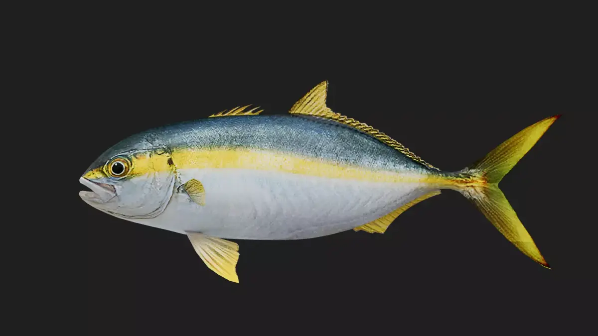 Trevally Low-poly 3D model buy