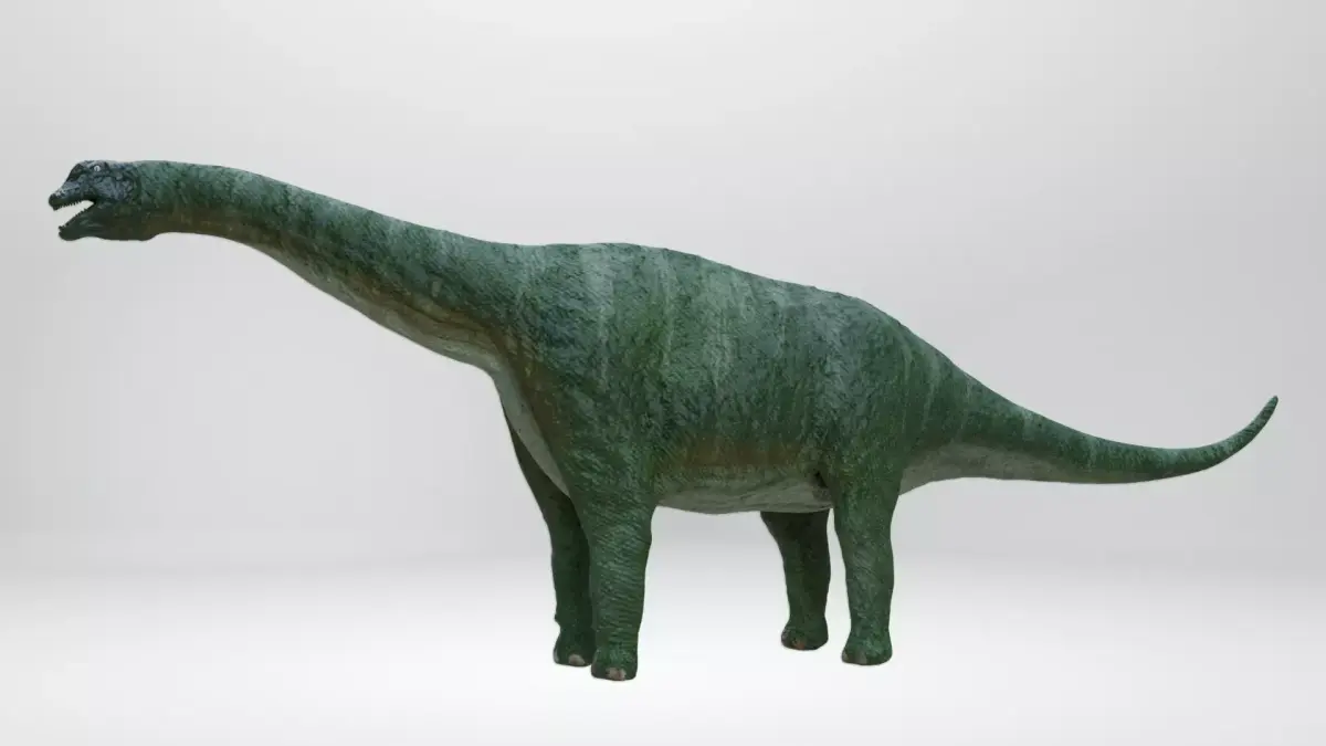Apatosaurus Dinosaur Low-poly 3D model