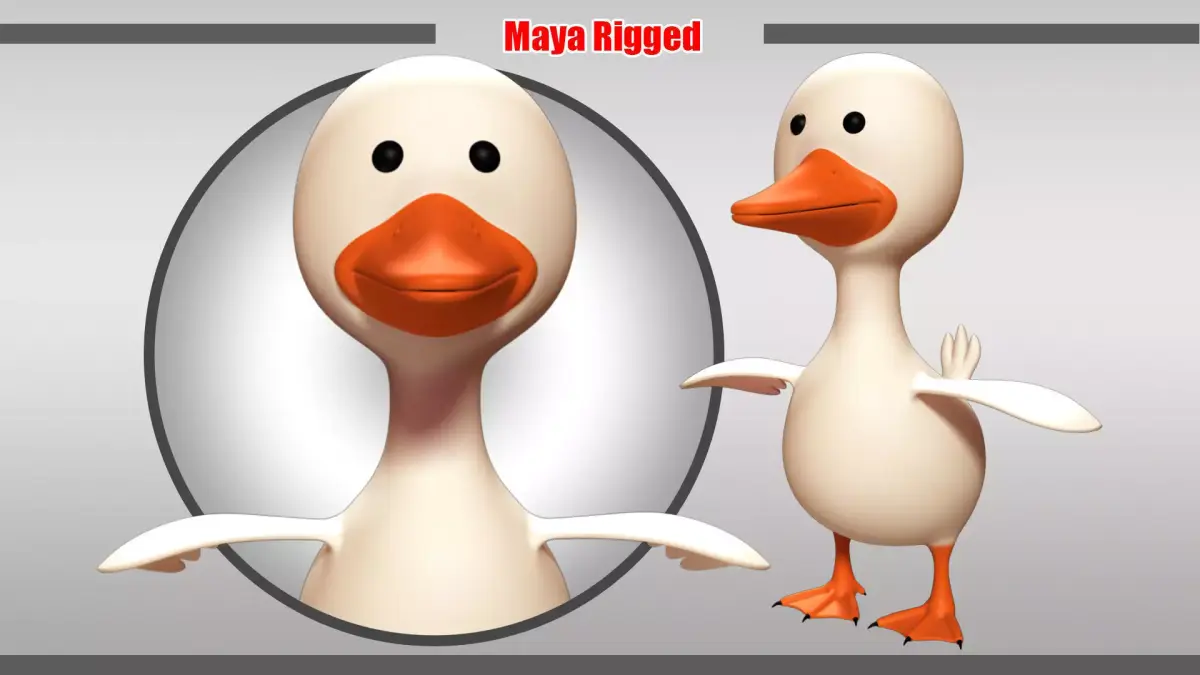 Duck Rigged Low-poly 3D model