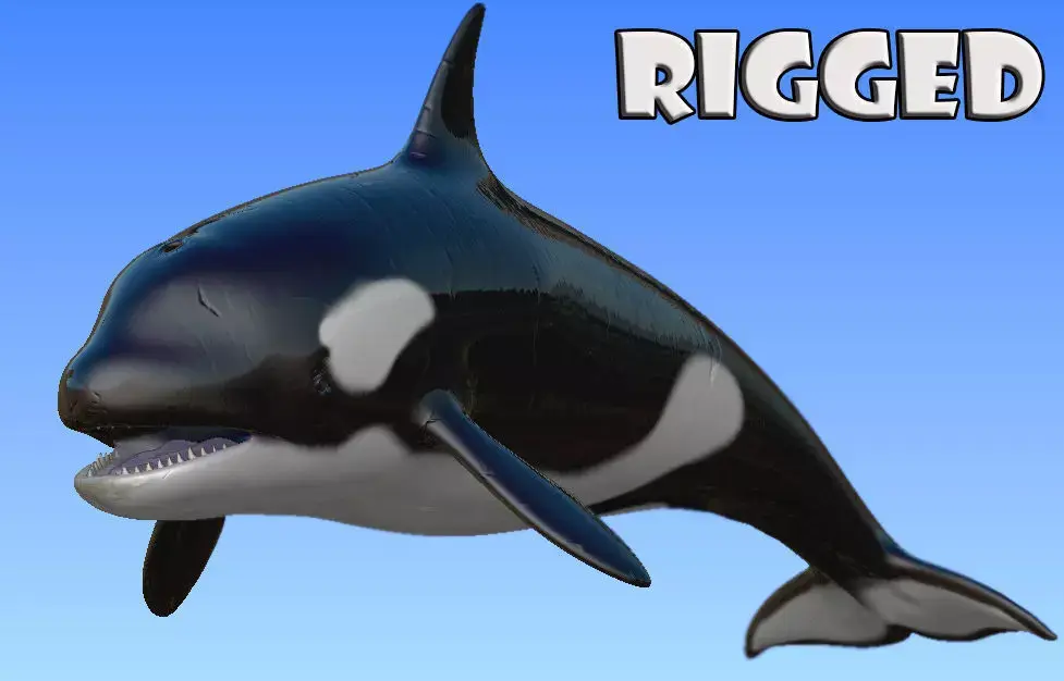 Rigged Orca Low-poly 3D model