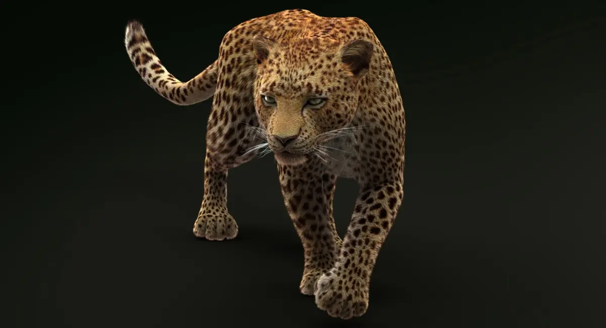 Leopard (3) (RIG) (Fur) 3D model