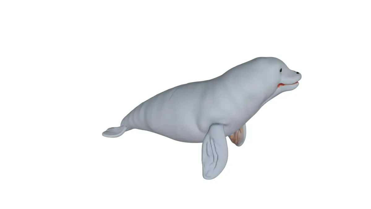 Beluga Low-poly 3D model